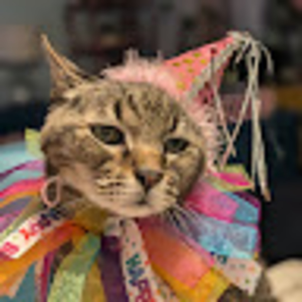 Meet your Posher, Pj